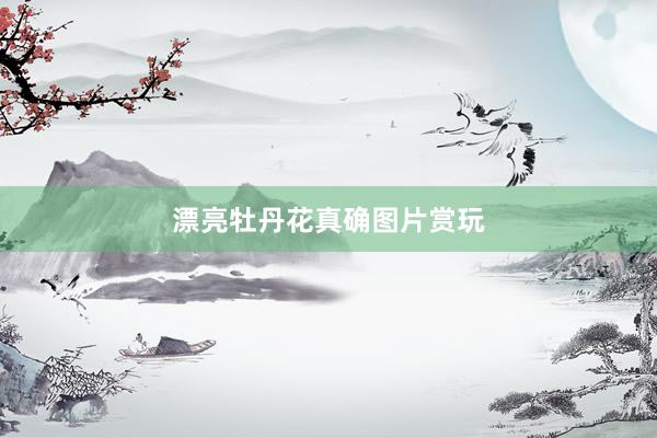 漂亮牡丹花真确图片赏玩